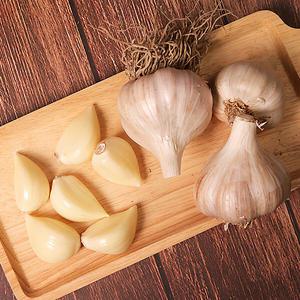 [잇담]토종 의성마늘(육쪽) 대 1.7kg내외 (반접 45-55개)