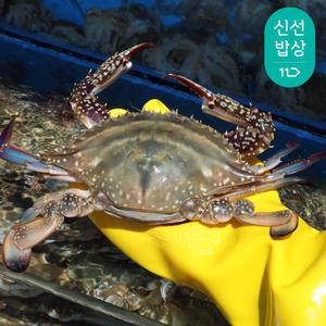여수산 활꽃게 3-6미 1kg