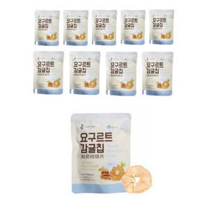 제주도 특산품 요구르트 감귤칩 25g 10개 세트 선물 간식 새콤 달콤 바삭한 귤칩 건과일 건조과일