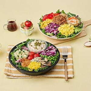 [풀무원식품]디자인밀 도시락 그린밀 프로틴(1주/총5일)