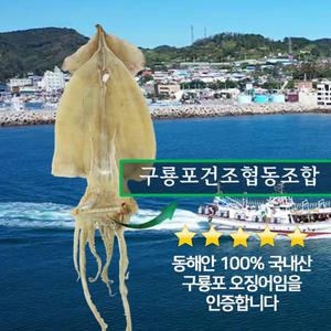 국산 마른오징어 울릉도 독도 구룡포 건오징어 건어물