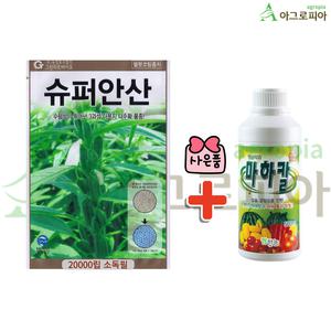 슈퍼안산참깨 대용량 20,000립 마하칼 참깨씨 씨앗 씨 종자