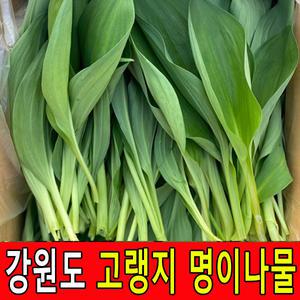 최상품 강원도 고랭지 생 명이나물 산마늘 1kg 1박스, 연하고 향이 진해요