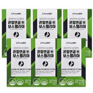 프롬바이오 관절연골 엔 보스웰리아 850mg x 30정 x 6개
