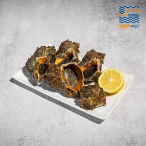 [해남미소] 오렌지수산 참소라 1kg(8-11미)