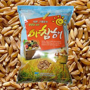 고대곡물 호라산밀 5kg 대용량 터키산