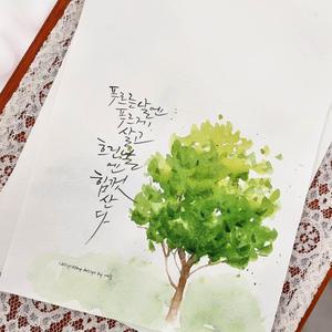 고급 특수 한지 두꺼운 구름한지 A4 A3 캘리그라피 편지지 닥지 5매