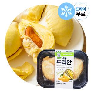 지케이푸드 손질 냉동 두리안 500g 열대과일 스무디 후식
