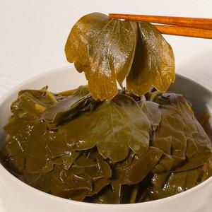 [대용량장아찌 절임 2kg] 방풍나물/진명이/곤드레 외 골라담기