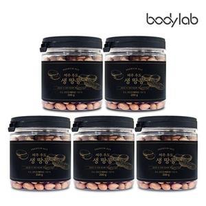 [NS홈쇼핑]제주 우도 생 알땅콩 200gX5병[34949603]
