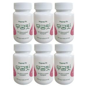 무궁핏 정 무궁화 평화 22.5g 500mg x 45정 6개 / 써클