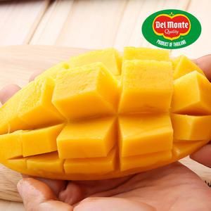 델몬트 항공직송 태국산 골드망고 특대과 4kg (8-12과)