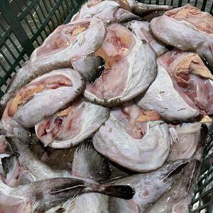 국내산 손질 아귀 1kg 냉동 아귀 애 냉동 아구 꼬리 아구간 아귀위 아귀꼬리 아구애 아귀살 아구살 아구위