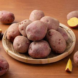 [신선하랑] 포슬포슬 국내산 카스테라 홍감자 3kg 특