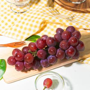 썬리지 산지 직수입 적포도 스윗셀럽 크림슨 등 900g 1.8kg