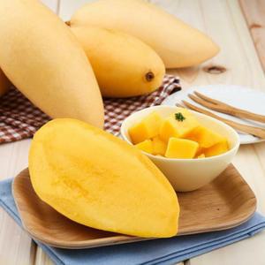 태국 골드망고 특대과 5kg (10-16과)