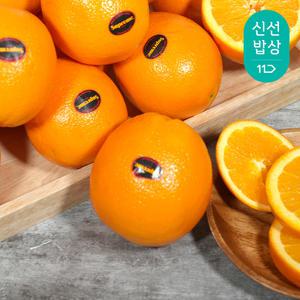 썬리지) 슈프림 블랙라벨 오렌지 중과 대과 특대과 3.5kg
