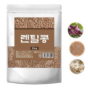 렌틸콩 2kg 렌틸콩밥 잡곡
