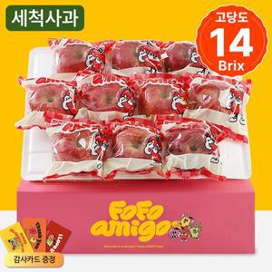 [아침의뜰]해발 500m 산간에서 자라 더 맛있고 껍질 째 바로 먹는 강원도 세척사과 (2kg,8~10입)