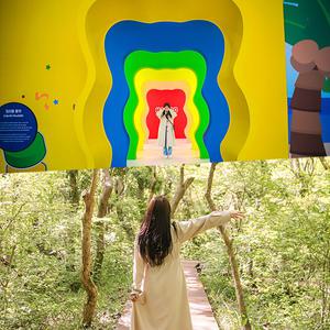 [제주] 하리보해피월드+에코랜드 (가볼만한곳/관광/제주투어/자유여행/가족/친구/연인/아이와함께/테마파크/이색체험/브이패스/액티비티)