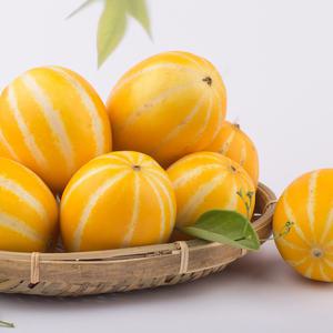 성주참외 못난이 꼬마/소과 2.5kg 12-25과 꿀참외