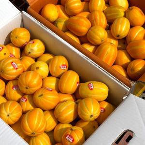 성주참외 10kg 고당도 가정용 못난이 꿀 참외