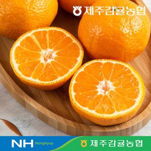 [제주감귤농협] 귤림원 제철 햇 카라향 3.5kg(16∼30과) / 1과당 120∼220g