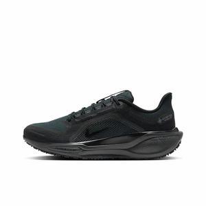 나이키 페가수스 41 GORE-TEX 남성 워터프루프 로드 러닝화 FQ1356-001