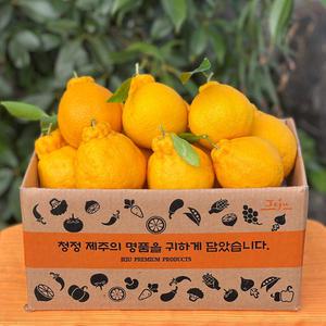 제주 못난이 노지한라봉 10kg (실중량)