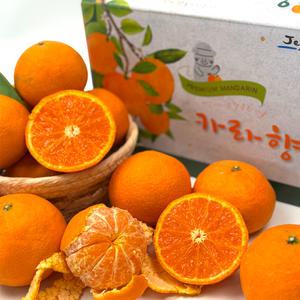 제주 프리미엄 카라향 감귤 고당도 3,5kg 가정용