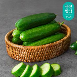[품질보장] 국내산 간편 미니오이 2kg / 스낵오이