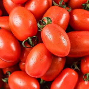 대추방울토마토 3kg(4-5번)  (방울/대추방울 랜덤발송)