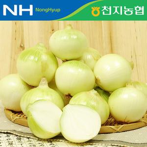 [함평천지농협] 함평 황토 양파 5kg/10kg