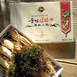 [풍기인삼] 6년근 풍기수삼(대) 750g(9~10뿌리)