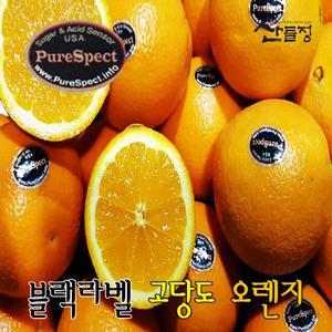 퓨어스펙 [정품] 블랙라벨 고당도 네이블 오렌지 56과 (중과) 산들정