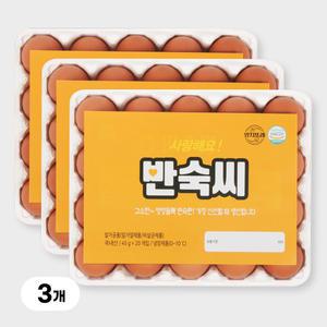 [YJ푸드] 반숙란 60구 / 노른자까지 맛있게 간이밴 반숙씨 영양간식 식사대용