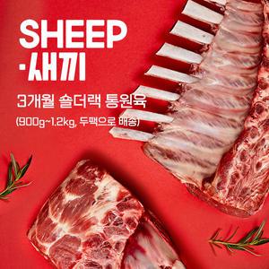 [SHEEP새끼] 통원육 3개월미만 숄더랙- 어린양 양갈비 프리미엄 토마호크 캠핑 코스트코 양고기 쉽새끼