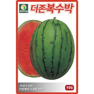 다농 더존복수박 씨앗 10립 소과형 수박씨 종자
