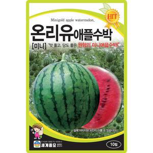 세계종묘 온리유 애플수박 씨앗 10립 미니 애플수박씨 종자