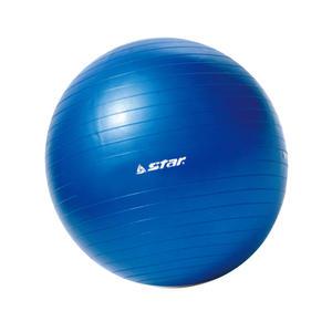 S 스타스포츠 EB210-07 미니 짐볼 45cm 발펌프포함 요가 헬스 필라테스 스트레칭