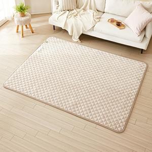 [더안]더안 EMF 극세사 탄소 전기장판 베이지 퀸 분리난방 150X200