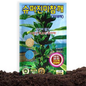 KS종묘 슈퍼 진미 참깨 씨앗 3000립 외대형 다수확 슈퍼진미 참깨씨 종자