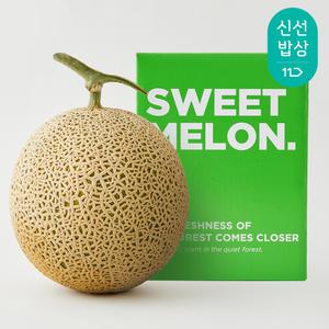 향긋한 프리미엄 고당도 머스크 메론 1.6kg 이상 (1입/로얄과)