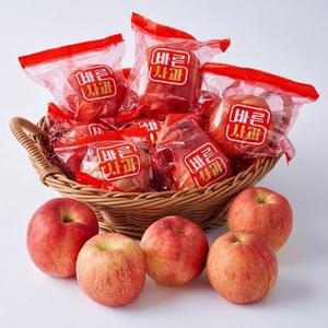 [기타]하루한알 바른 가정용 세척사과 2kg~5kg 골라담기