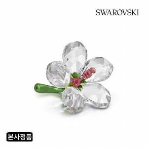 [/본사정품] Florere 히비스커스 S 5690534