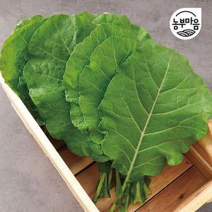 [농부마음] 유기농 쌈용 케일 500g