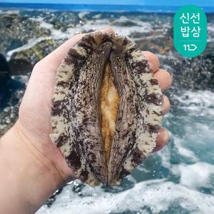 완도 활전복 특대 9-10미1kg 산소포장