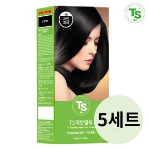 티에스 더착한염색 120g 5세트 색상 선택 가능