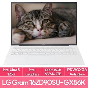 LG전자 그램16 16ZD90SU-GX56K 인텔 울트라5 램8G+8G추가 NVMe2TB교체 사무용 노트북 추천 EU