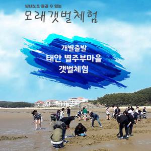[태안] 별주부마을 갯벌체험/체험/태안가볼만한곳/키즈/단체/겨울/갯벌/서해안/서해안가볼만한곳